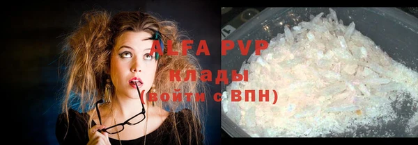 гидра Бородино