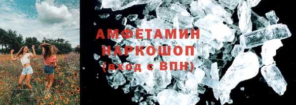 гидра Бородино
