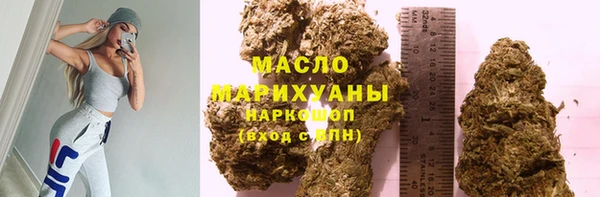 гидра Бородино